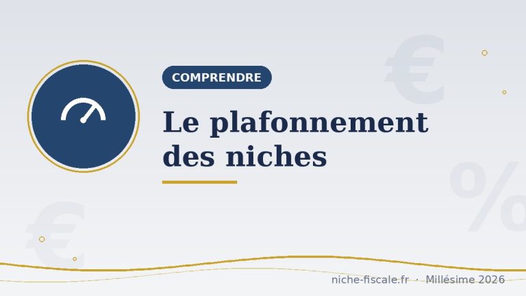 Plafonnement des niches fiscales : 10 000 €, comment ça marche